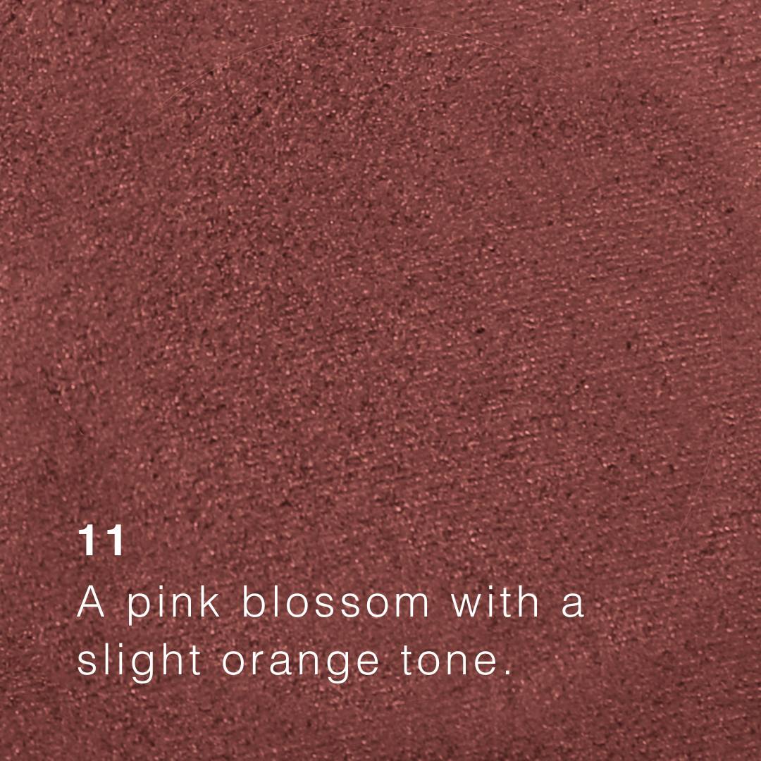 Saint Minerals Pressed Eyeshadows - Image 13
